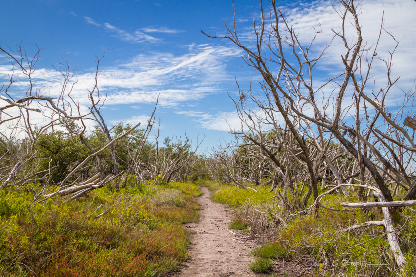 Hiking Flamingo Trail in the Everglades National Park