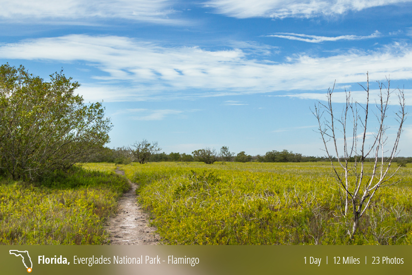 Hiking Flamingo Trail in the Everglades National Park