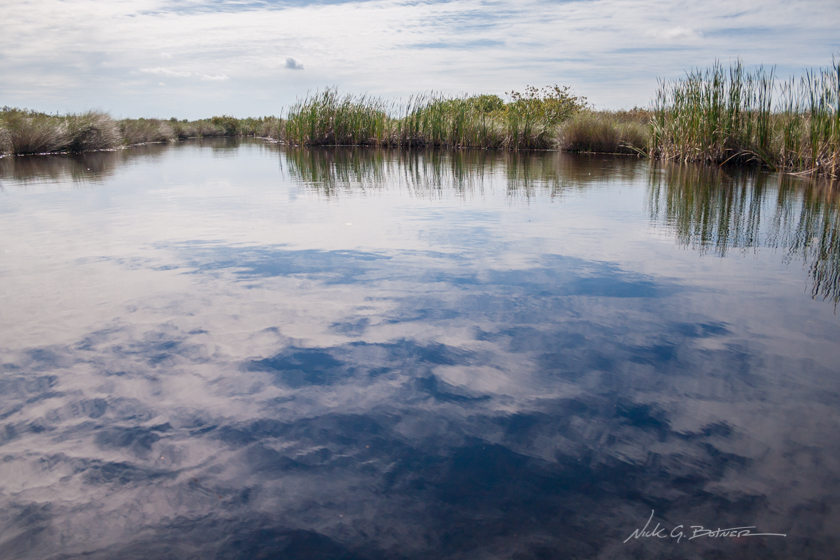 Kayaking down the Turner River in the Florida Everglades
