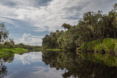 Kayaking Florida – Myakka River State Park