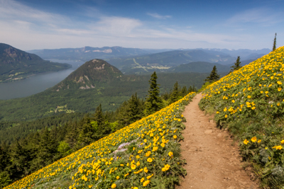 Hiking Washington – Dog Mountain
