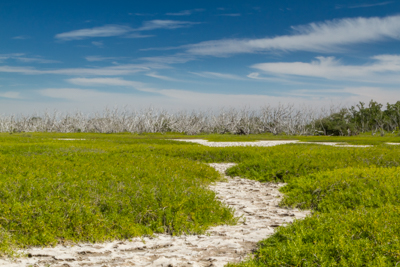 Hiking Florida – Flamingo, Everglades National Park